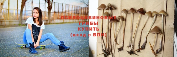 ALPHA PVP Армянск